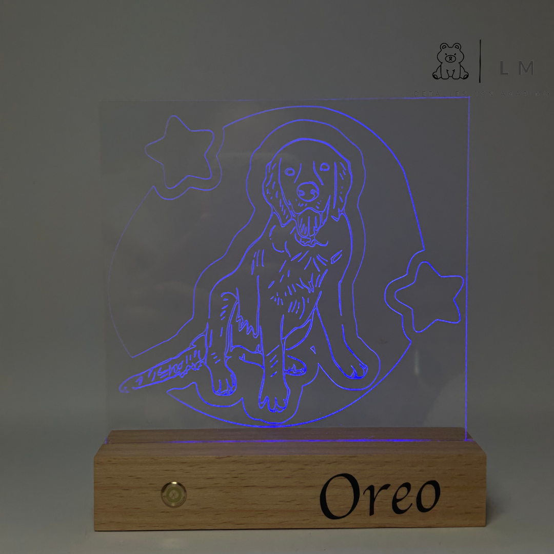 Lámpara LED multicolor personalizada con fotos 🎨